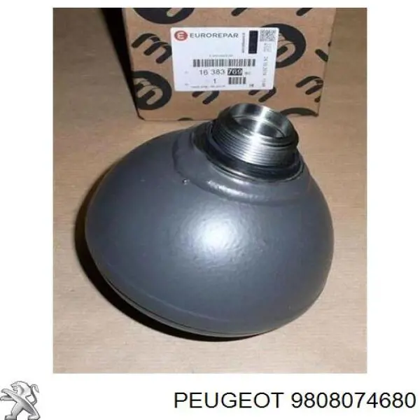  9808074680 Peugeot/Citroen