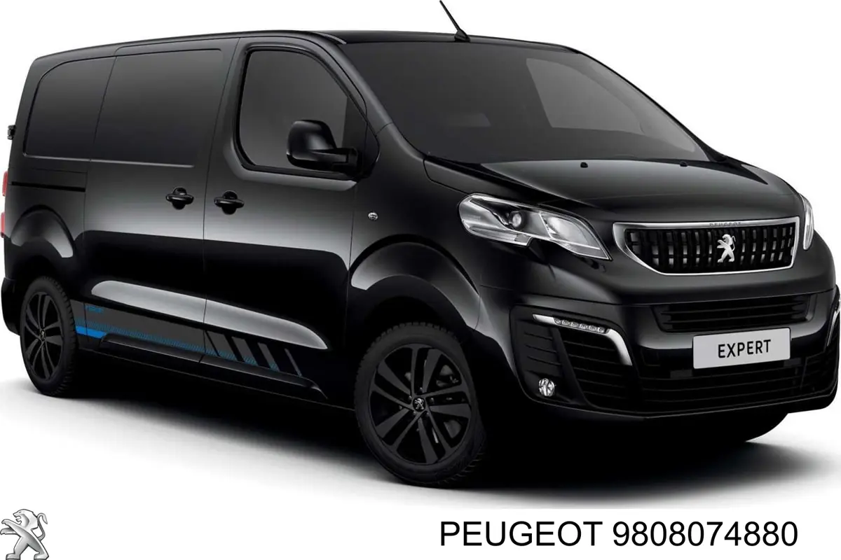 9808074880 Peugeot/Citroen Ролик дверей бічних/зсувних, правий центральний