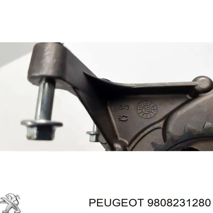 Купити 9808231280 Peugeot/Citroen Насос маслозакачуючий
