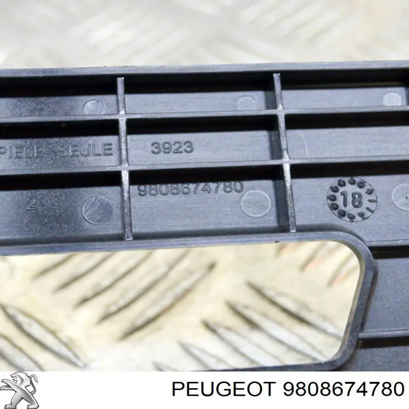 Купити 9808674780 Peugeot/Citroen Кріплення/підставка акумулятора (АКБ)