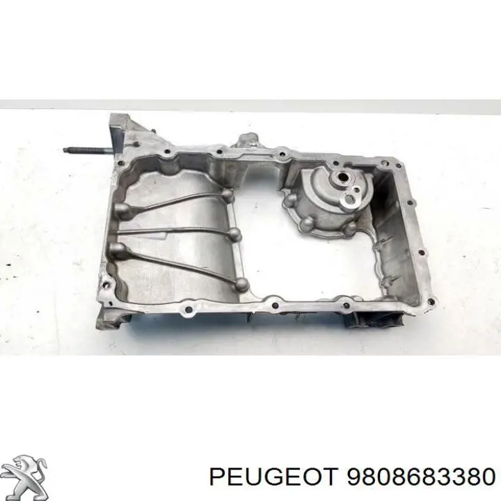 9808683380 Peugeot/Citroen 