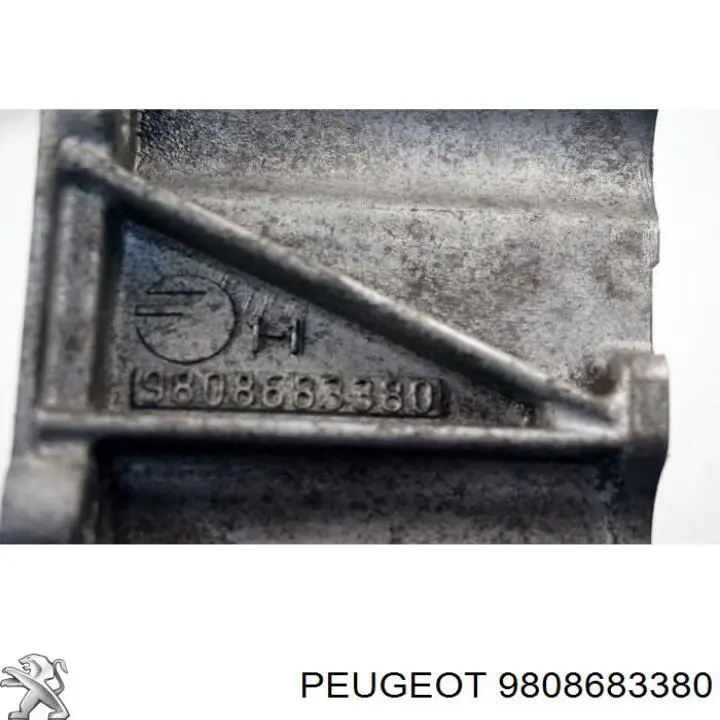 Купити 9808683380 Peugeot/Citroen 