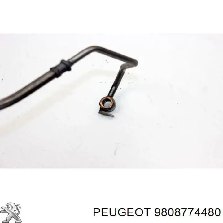 9808774480 Peugeot/Citroen Трубка/шланг подачі масла до турбіни