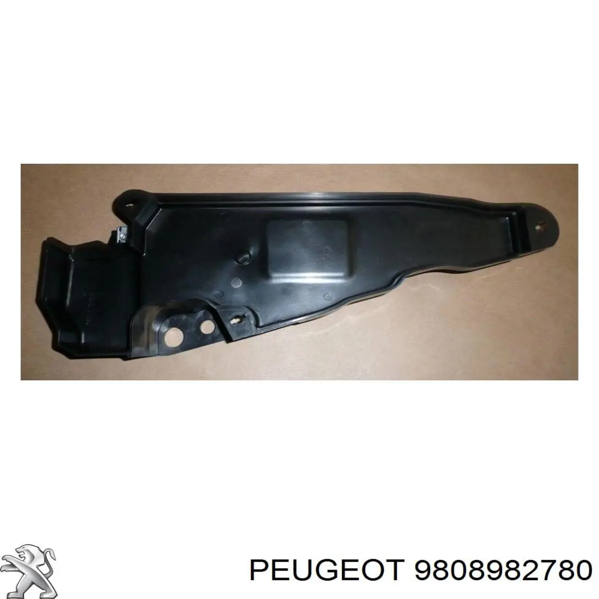  9808982780 Peugeot/Citroen