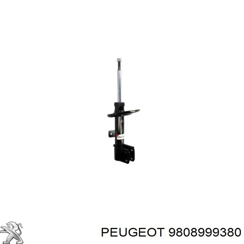9808999380 Peugeot/Citroen 