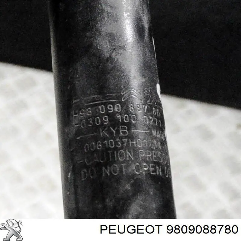 Купити 9809088780 Peugeot/Citroen Стійка амортизатора задня
