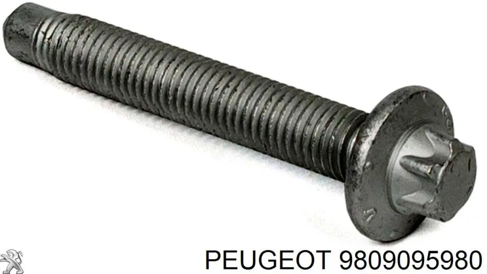 Купити 9809095980 Peugeot/Citroen 