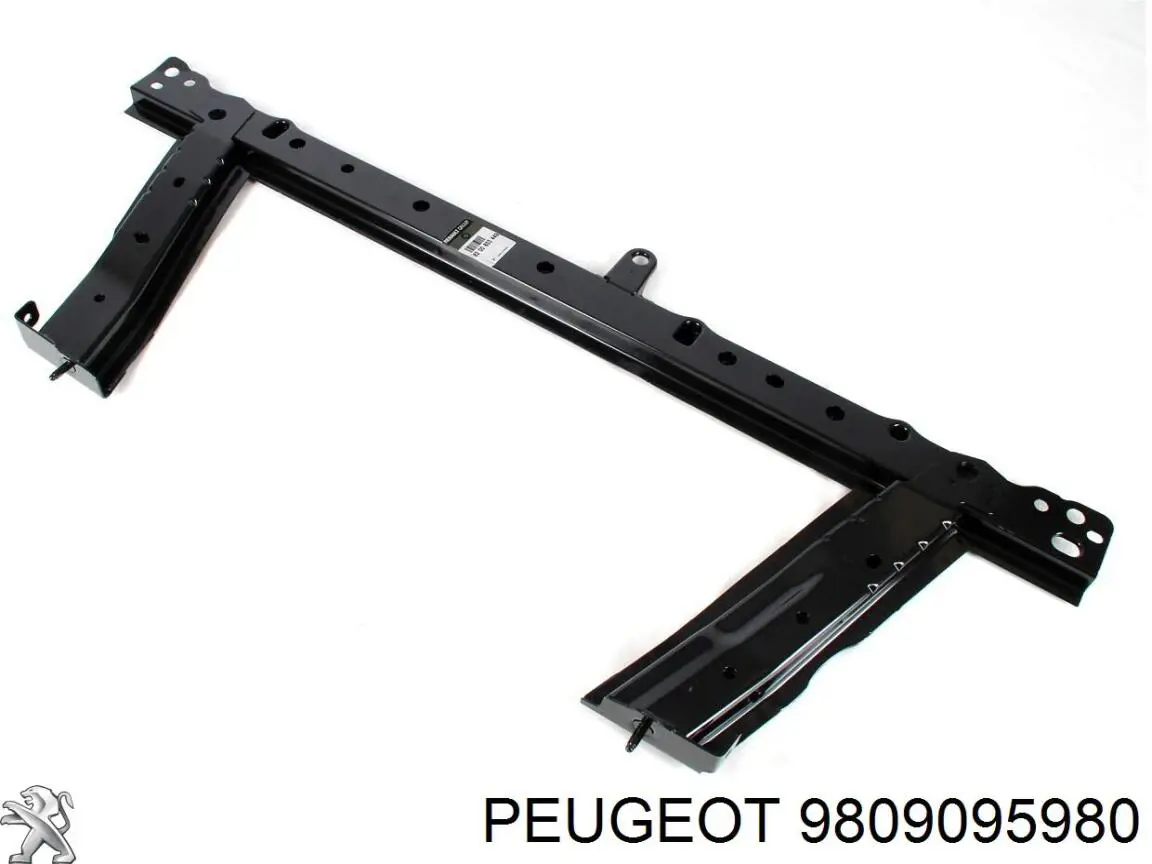  9809095980 Peugeot/Citroen