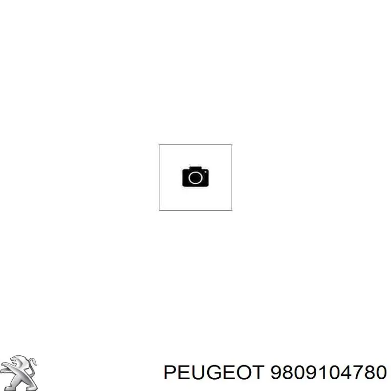 9809104780 Peugeot/Citroen Амортизатори задні
