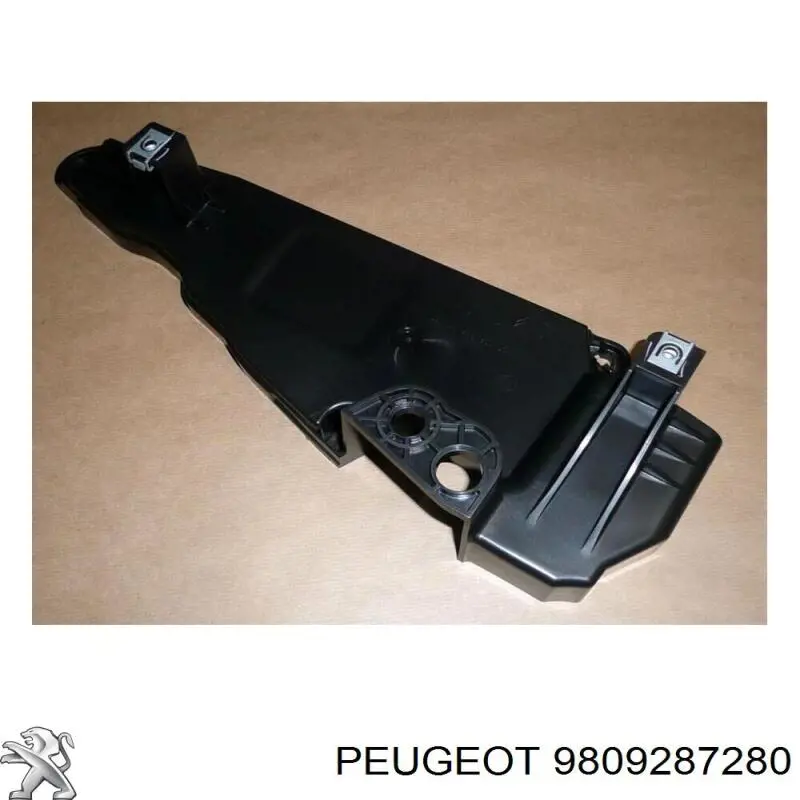 Купити 9809287280 Peugeot/Citroen 