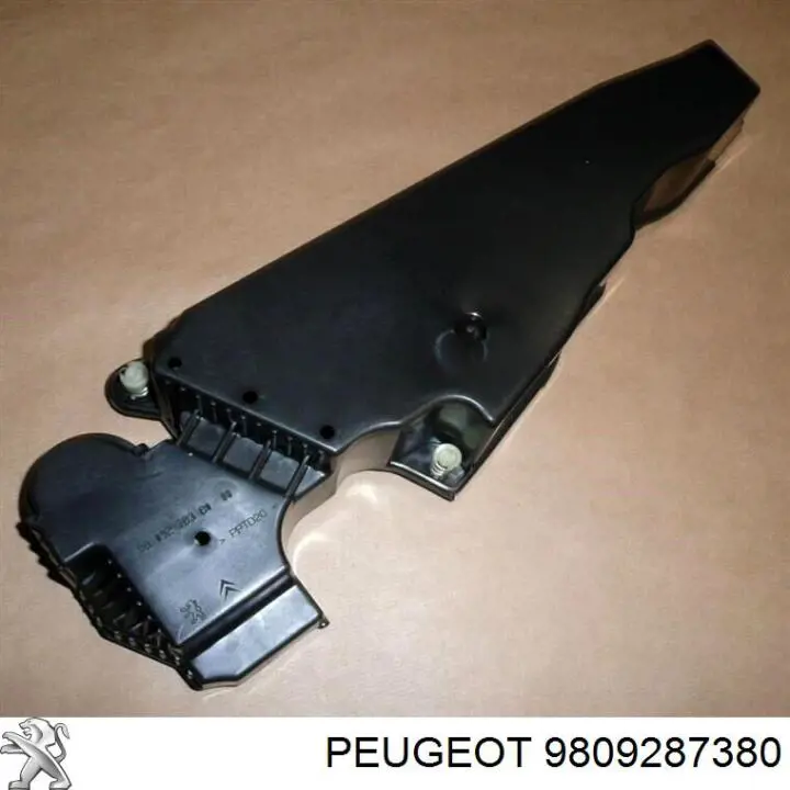 Купити 9809287380 Peugeot/Citroen 