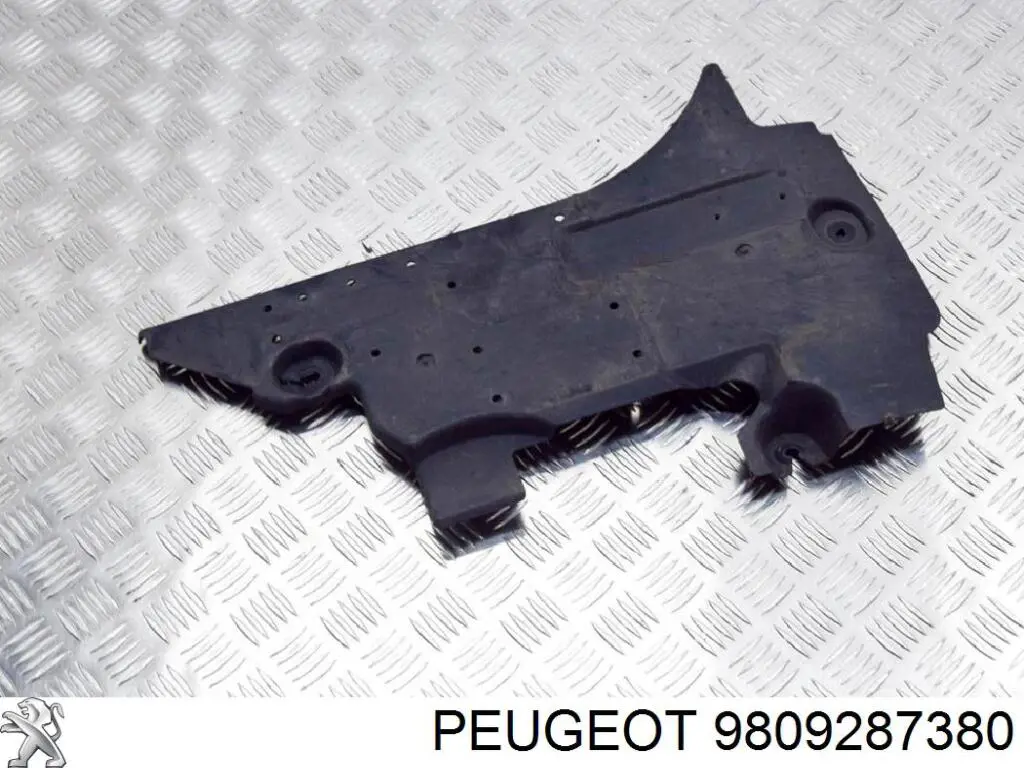  9809287380 Peugeot/Citroen
