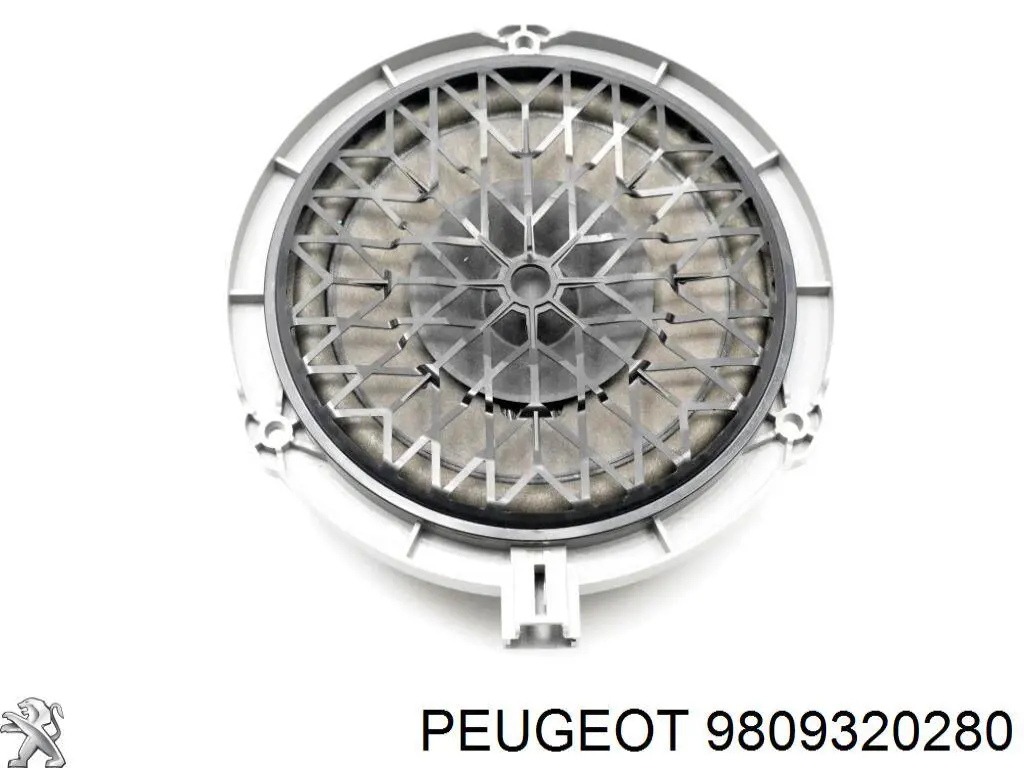 9809320280 Peugeot/Citroen Динамік задньої двері