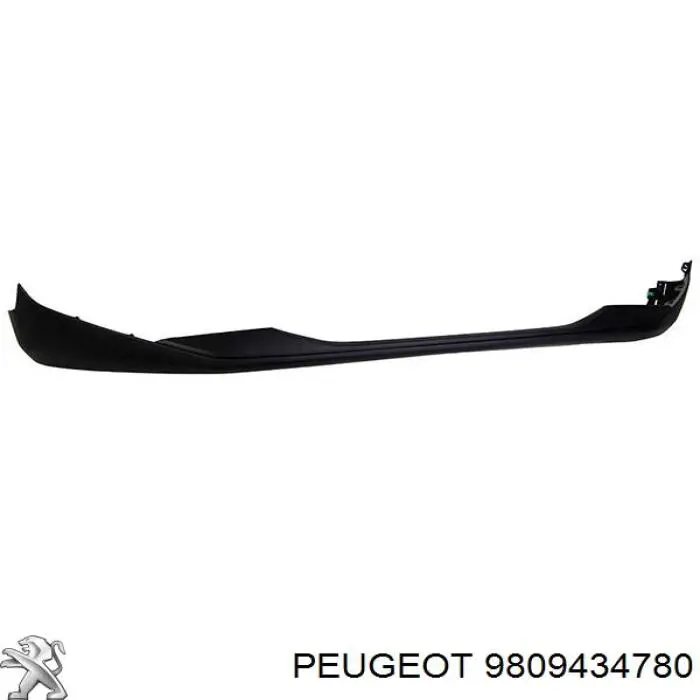 9809434780 Peugeot/Citroen 