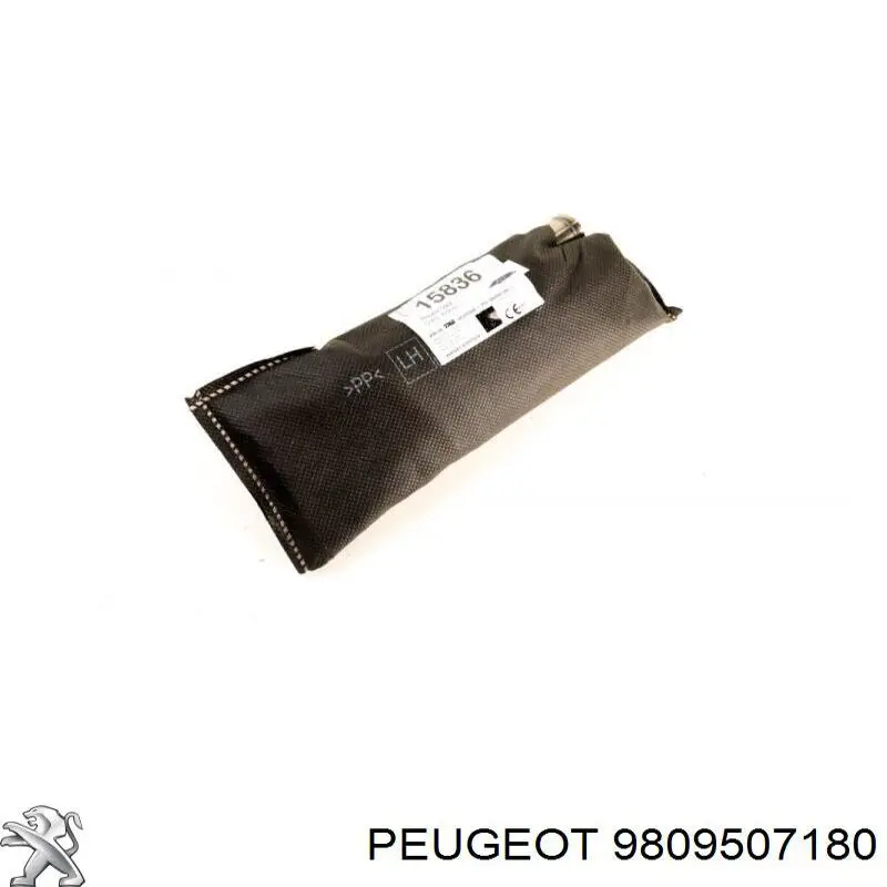 Купити 9809507180 Peugeot/Citroen Подушка безпеки AIRBAG спинки сидіння, лівого