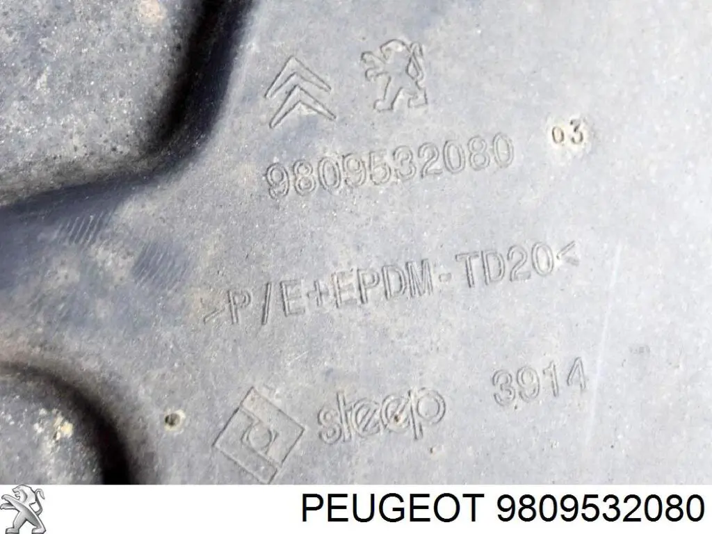 9809532080 Peugeot/Citroen 