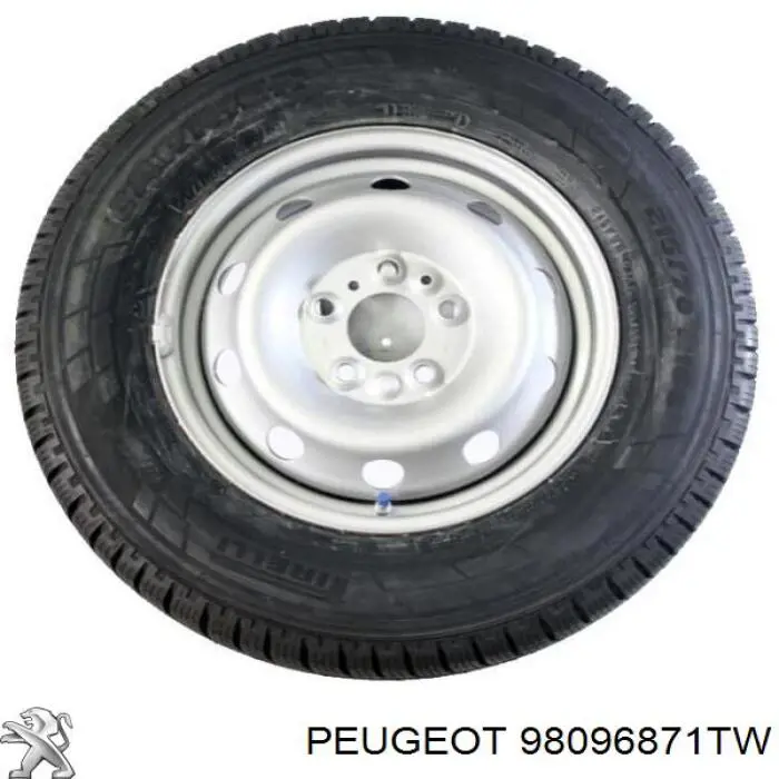  Peugeot/Citroen 98096871TW ціна, від 570.03 USD