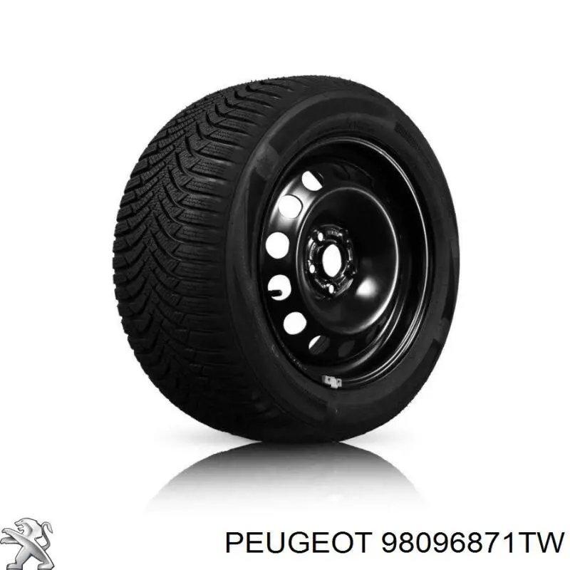  98096871TW Peugeot/Citroen