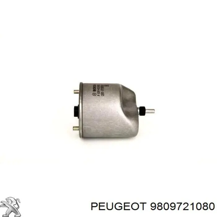 9809721080 Peugeot/Citroen Фільтр палива