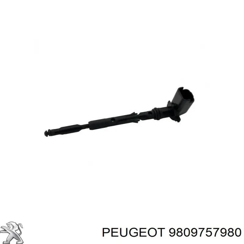 Купити 9809757980 Peugeot/Citroen Корпус паливного фільтра