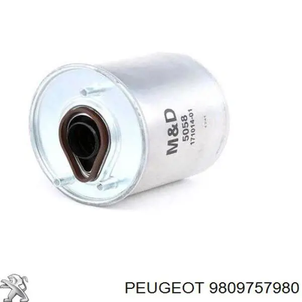 9809757980 Peugeot/Citroen корпус паливного фільтра