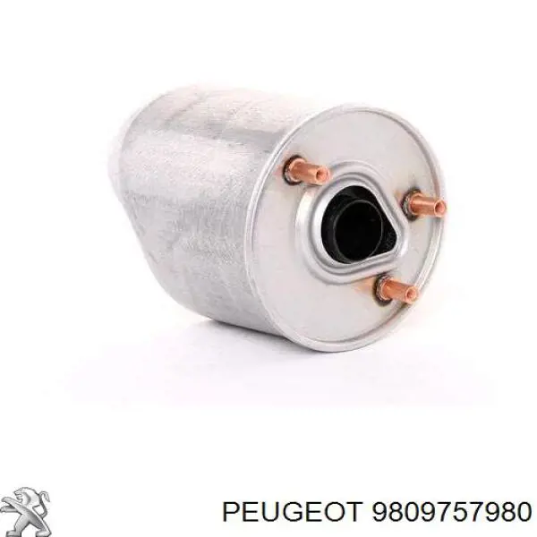 Купити 9809757980 Peugeot/Citroen Корпус паливного фільтра
