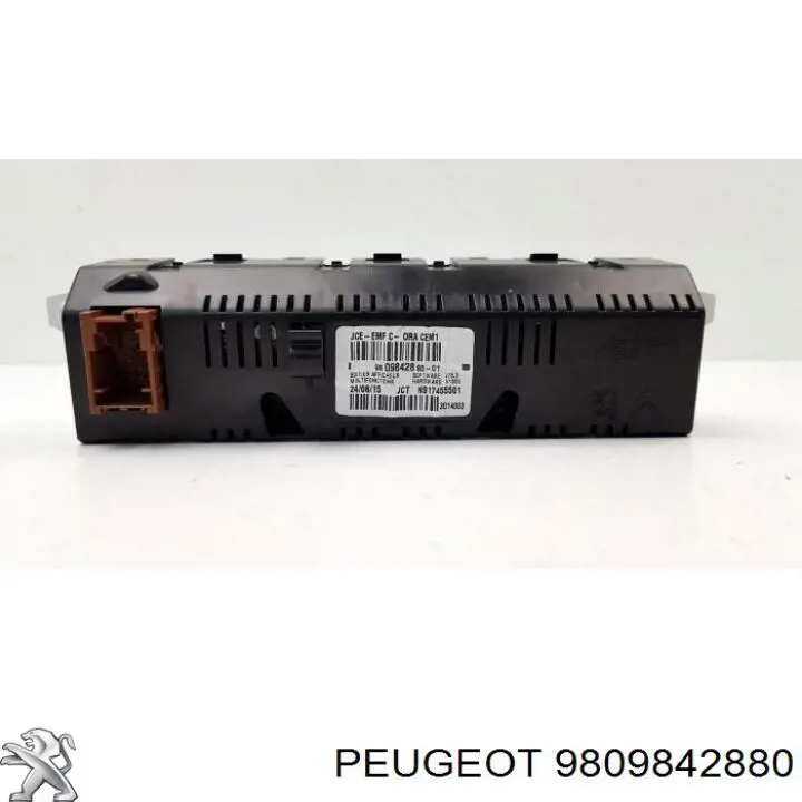  9809842880 Peugeot/Citroen