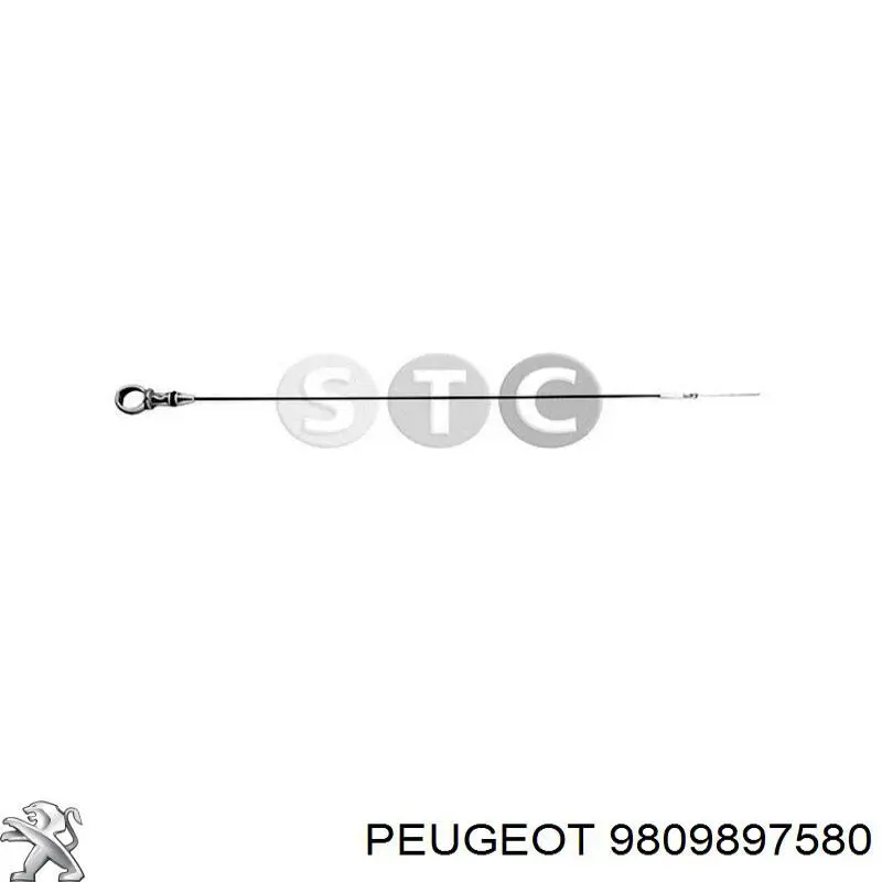 Купити 9809897580 Peugeot/Citroen Щуп рівня олії