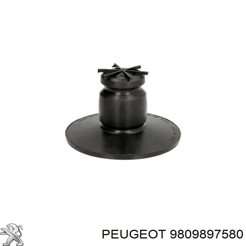 Масляний щуп 9809897580 Peugeot/Citroen