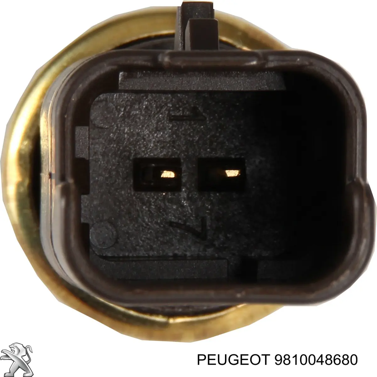 9810048680 Peugeot/Citroen Покажчик температури охолоджуючої рідини
