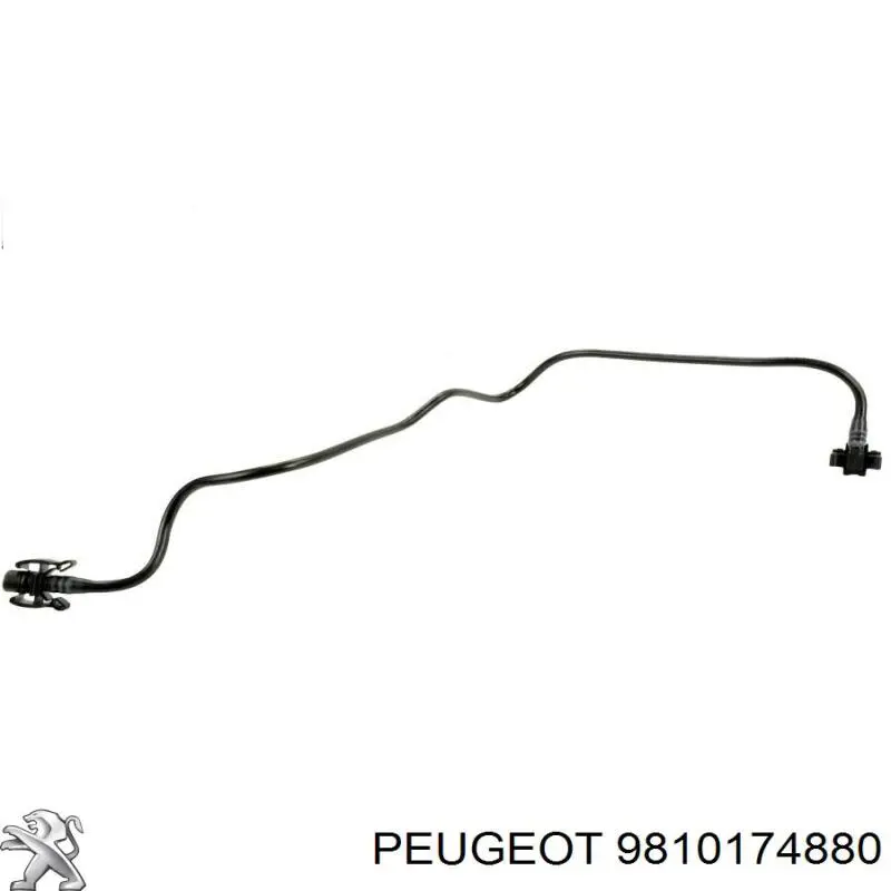  Peugeot/Citroen 9810174880 ціна, від 21.33 USD