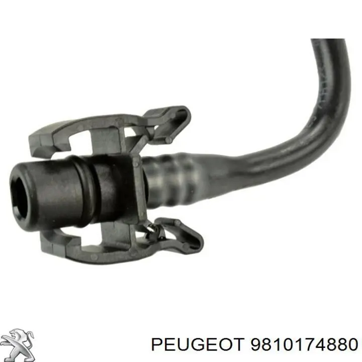9810174880 Peugeot/Citroen 