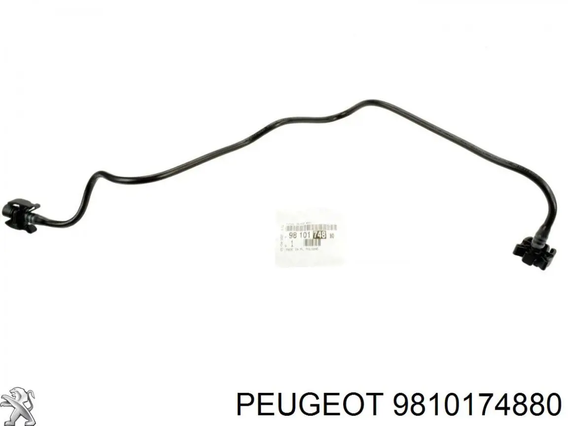  9810174880 Peugeot/Citroen