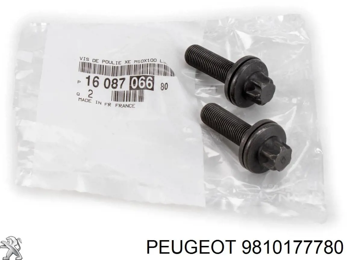 Купити 1613977480 Peugeot/Citroen Болт колінвалу