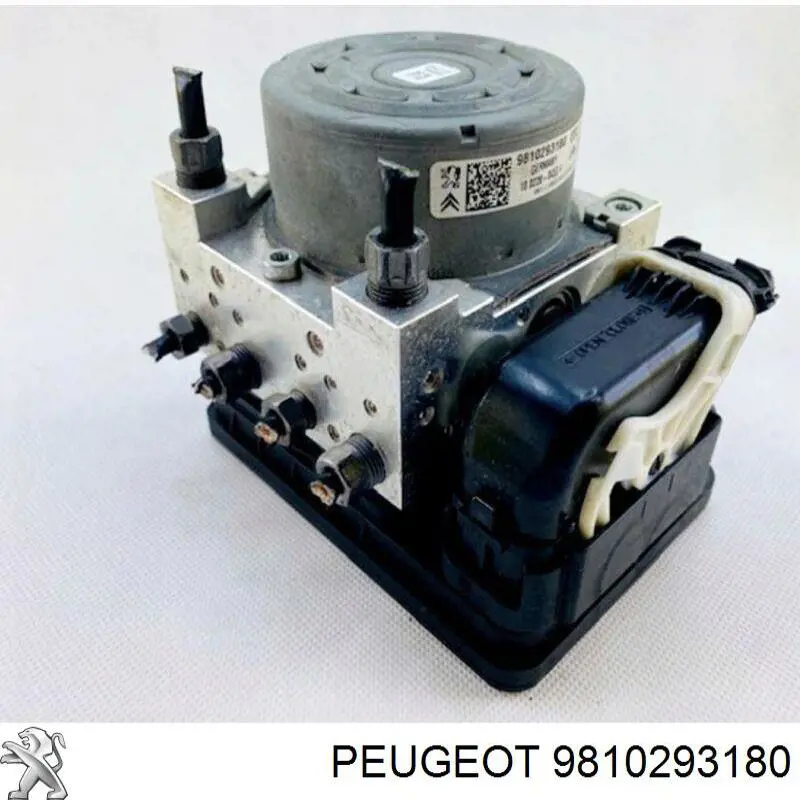 9810293180 Peugeot/Citroen 