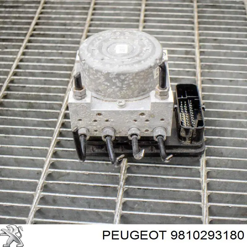  Peugeot/Citroen 9810293180 ціна, від 79.01 USD
