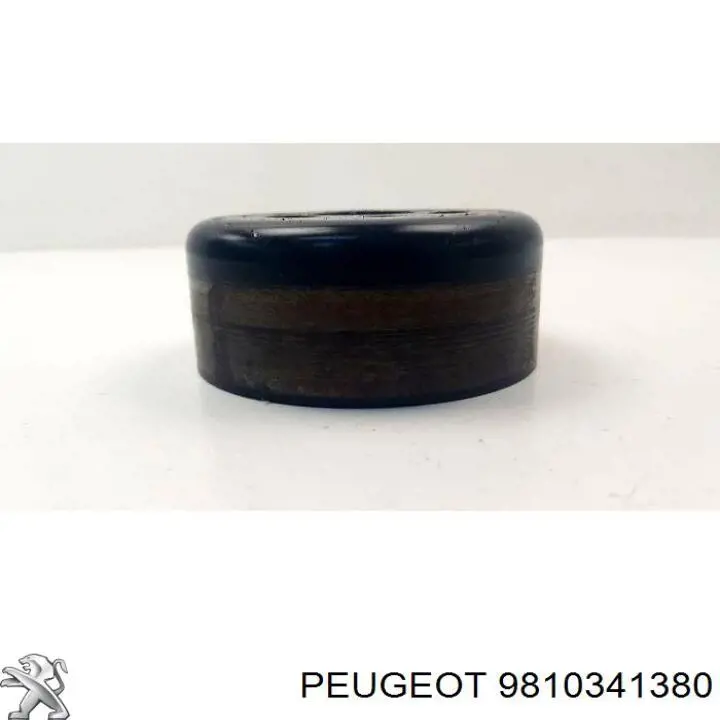  Peugeot/Citroen 9810341380 ціна, від 22.48 USD