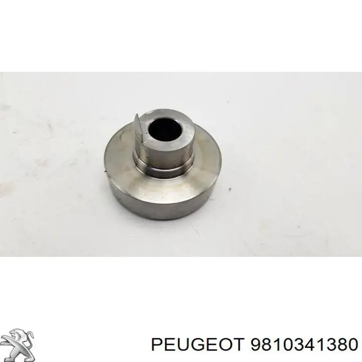 Купити 9810341380 Peugeot/Citroen 