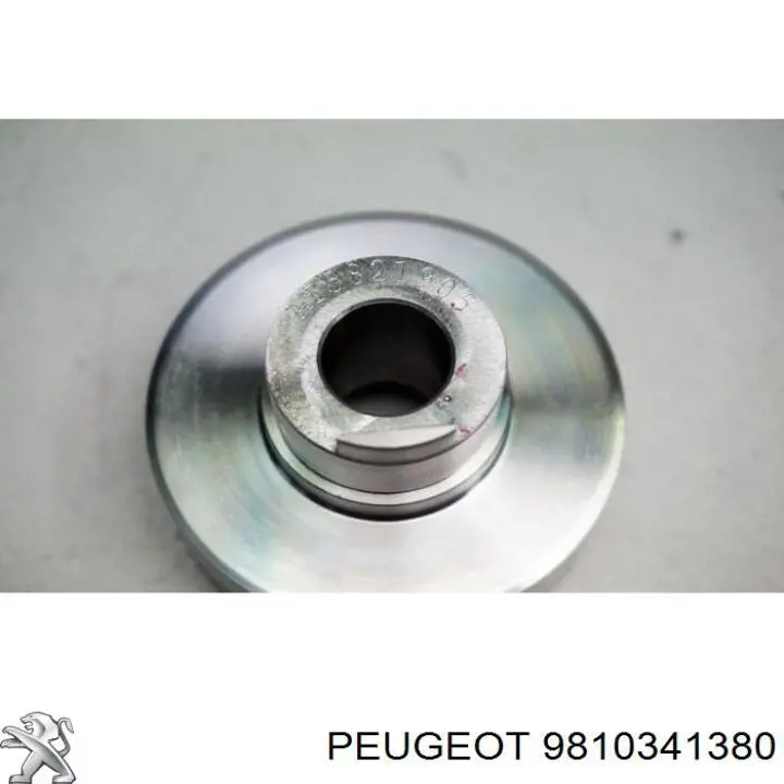  9810341380 Peugeot/Citroen