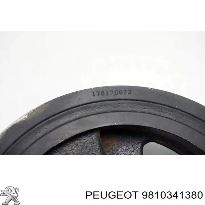 9810341380 Peugeot/Citroen 