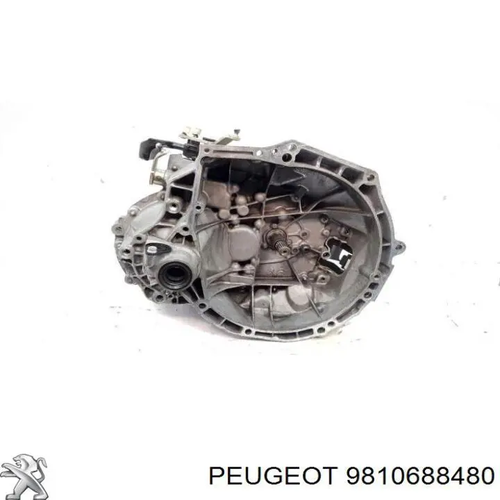  9810688480 Peugeot/Citroen