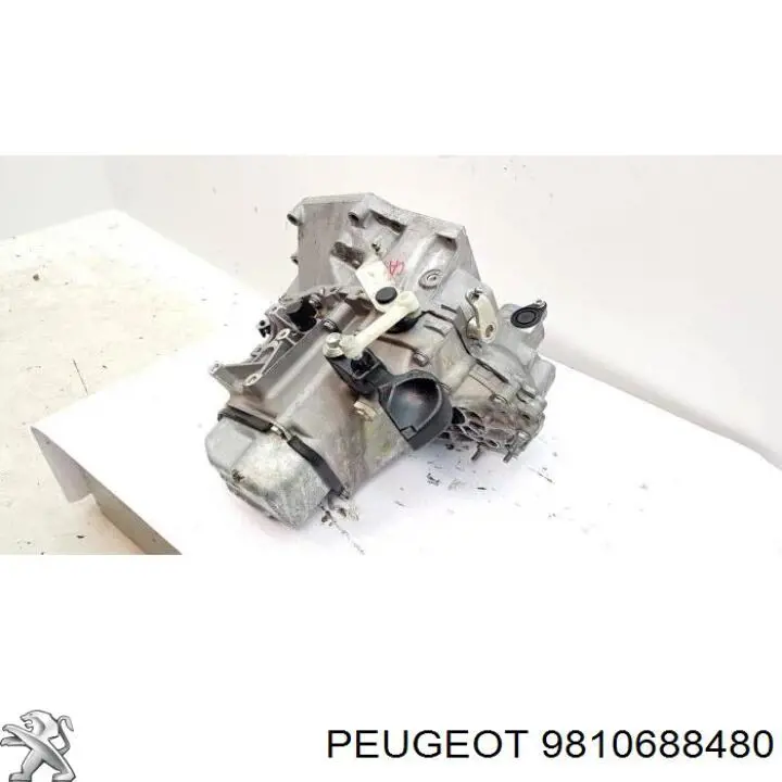 Купити 9810688480 Peugeot/Citroen 