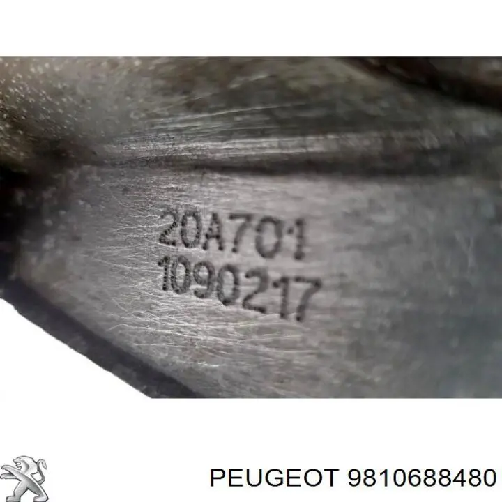 9810688480 Peugeot/Citroen 
