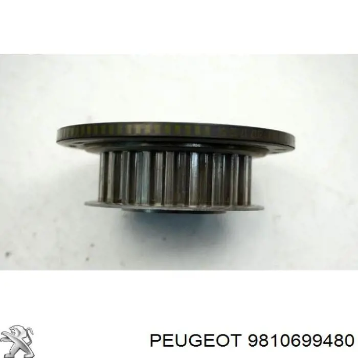 9810699480 Peugeot/Citroen Демпфер колінвалу