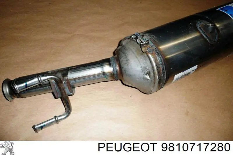  Peugeot/Citroen 9810717180 ціна, від 992.59 USD
