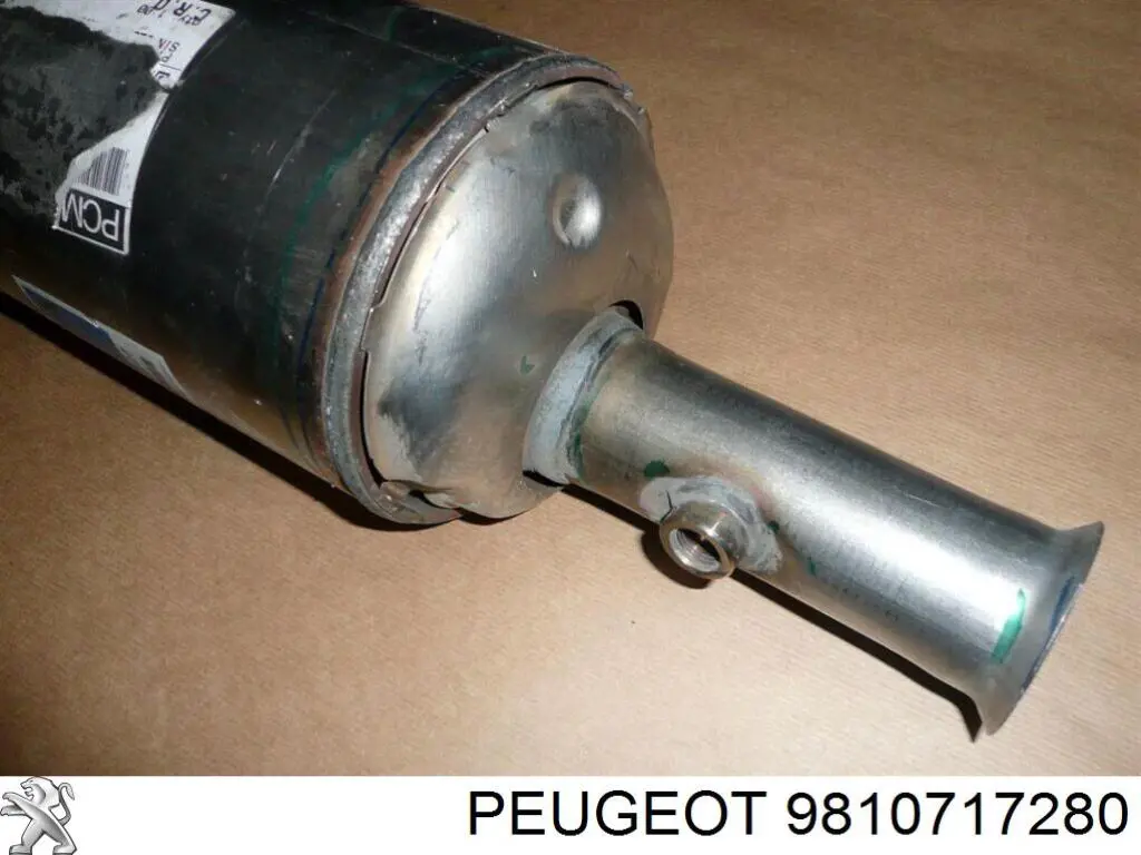 Купити 9810717180 Peugeot/Citroen 