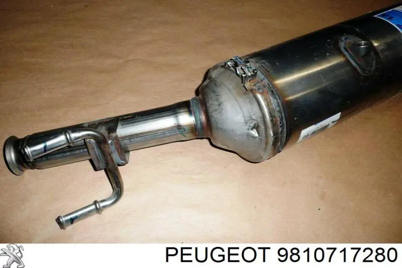 9810717180 Peugeot/Citroen 