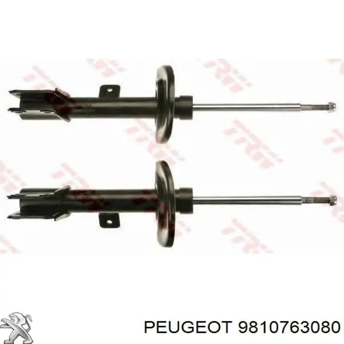 9810763080 Peugeot/Citroen 
