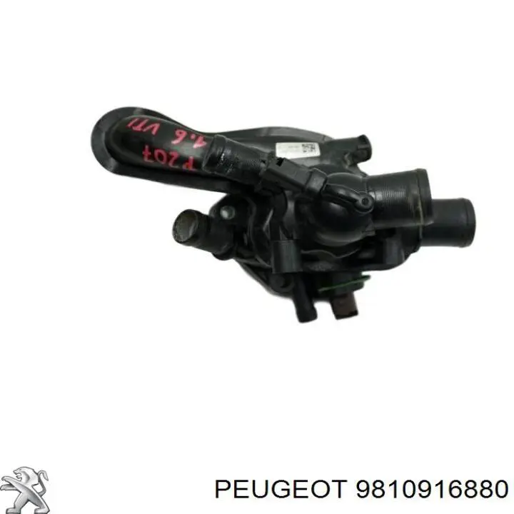 Термостат в зборі Peugeot/Citroen 9810916880