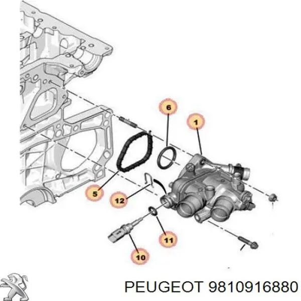 Кожух термостата Peugeot/Citroen 9810916880 ціна, від 109.33 USD